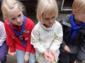 groep 1415-064
