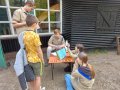 ondertussen op horst