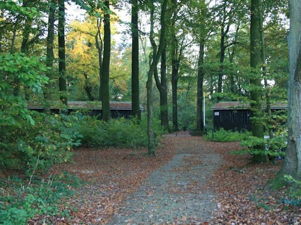 hof 501
