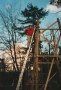 19950304-12