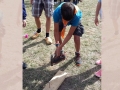 v-1718-eng-1744