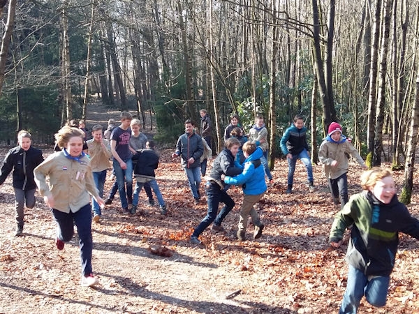v-1516-331
