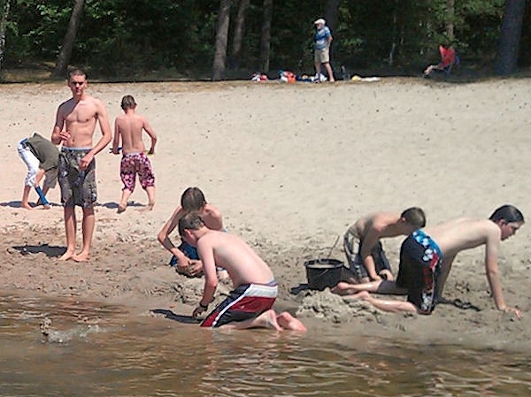 v-1011-317