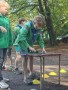 img20261003144749