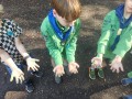 img20261003144902