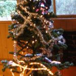 2006-kerstboom